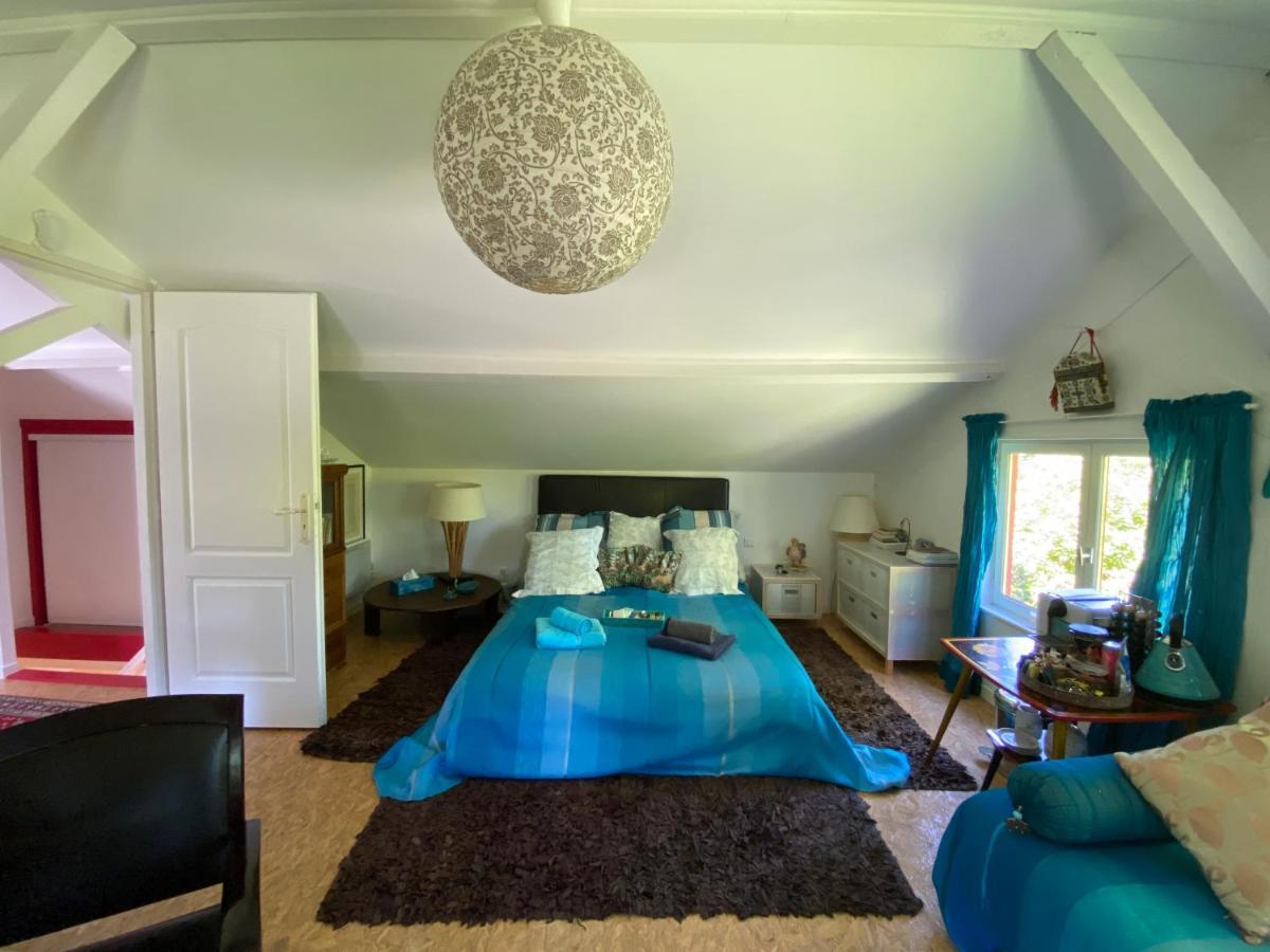 Le Loft Au-dessus Des Pins * Lacanau